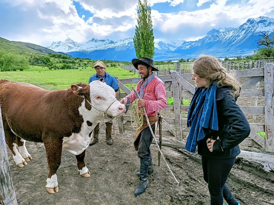 https://amazeddotblog.files.wordpress.com/2020/09/patagonia-parque-nacional-los-glaciares-ranch-nibepo-aike-lago-roca-photo-fc.jpg?w=927