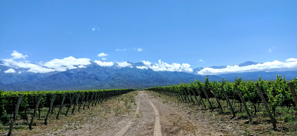 https://amazeddotblog.files.wordpress.com/2020/09/argentina-mendoza-valle-de-uco-flechas-de-los-andes-photo-fc.jpg?w=1024